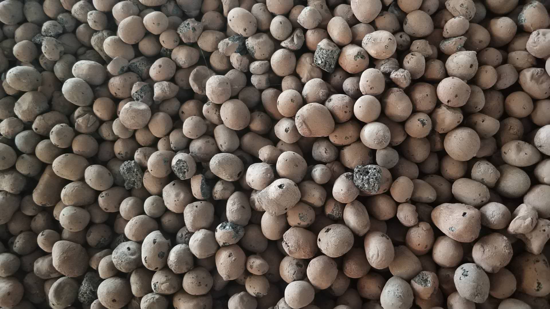 撫州陶粒_撫州陶粒批發_衛生間回填陶粒 撫州陶粒_撫州陶粒批發_衛生間回填陶粒